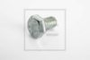 PE Automotive 010.303-00A Screw